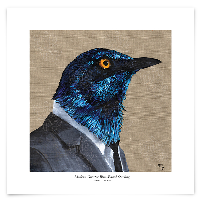 modern-greater-blue-eared-starling-print